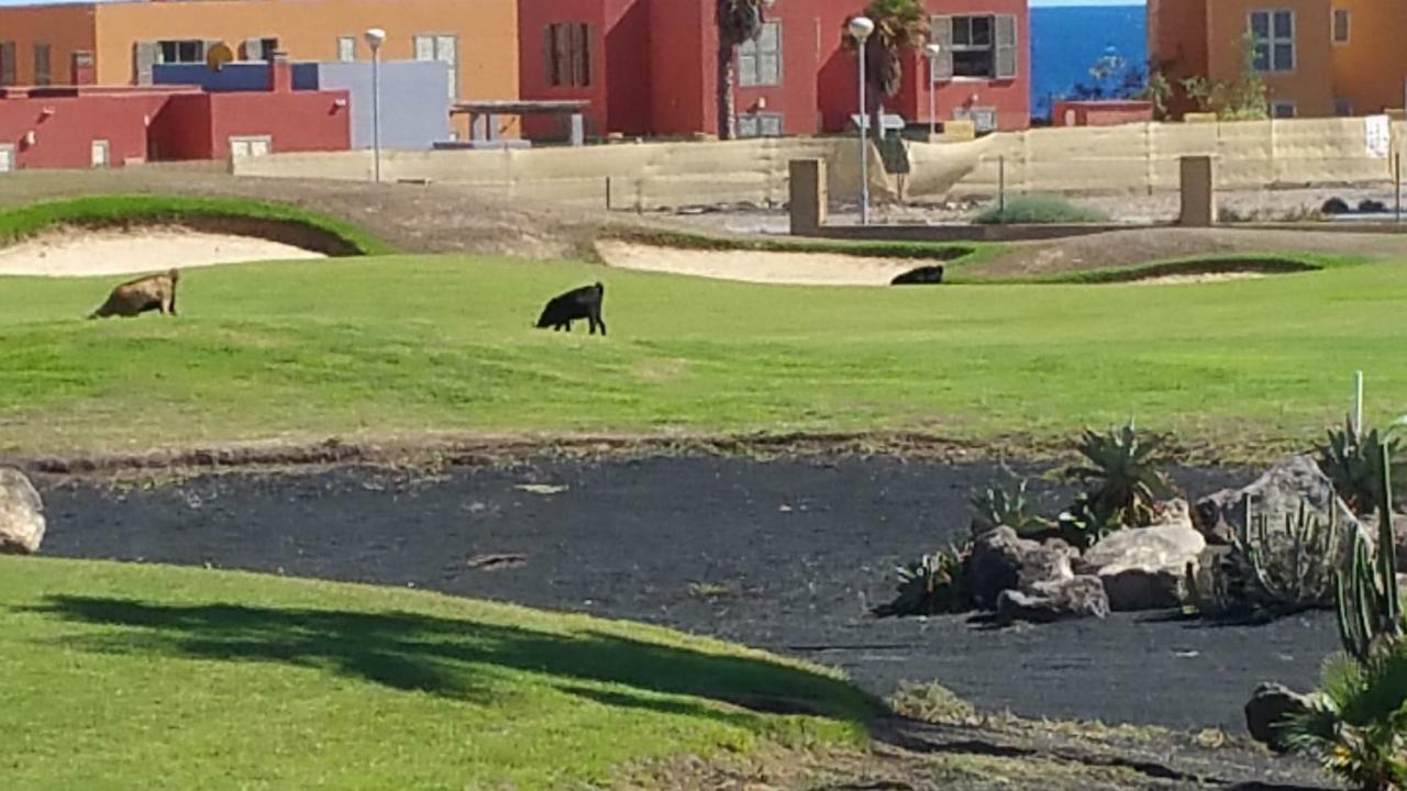 Villa Brisa Golf Salinas Caleta De Fuste Dış mekan fotoğraf